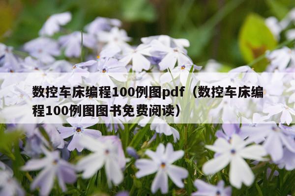 数控车床编程100例图pdf（数控车床编程100例图图书免费阅读）
