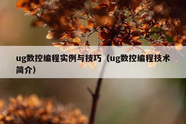 ug数控编程实例与技巧（ug数控编程技术简介）