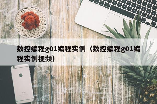 数控编程g01编程实例（数控编程g01编程实例视频）