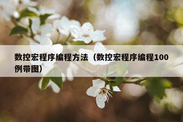 数控宏程序编程方法（数控宏程序编程100例带图）