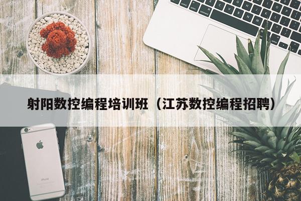 射阳数控编程培训班（江苏数控编程招聘）