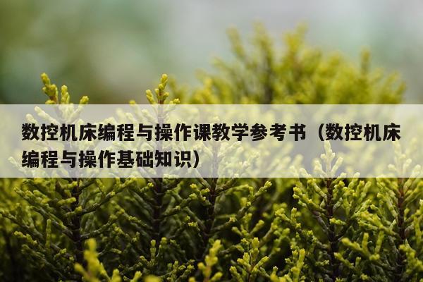 数控机床编程与操作课教学参考书（数控机床编程与操作基础知识）