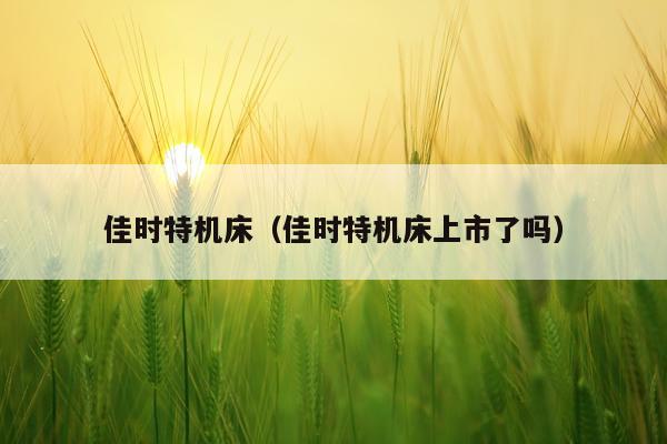 佳时特机床（佳时特机床上市了吗）