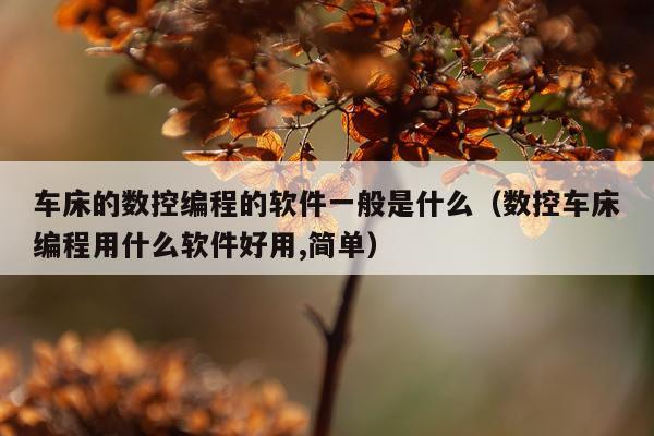 车床的数控编程的软件一般是什么（数控车床编程用什么软件好用,简单）