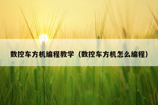 数控车方机编程教学(数控车方机怎么编程)