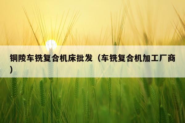 铜陵车铣复合机床批发（车铣复合机加工厂商）