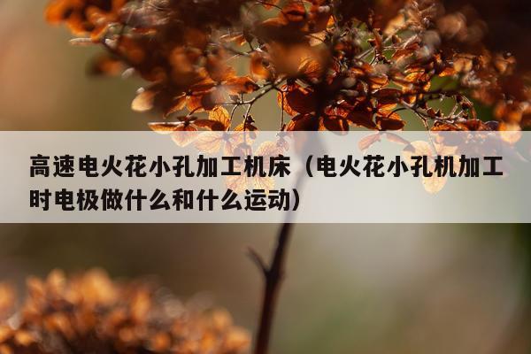 高速电火花小孔加工机床（电火花小孔机加工时电极做什么和什么运动）