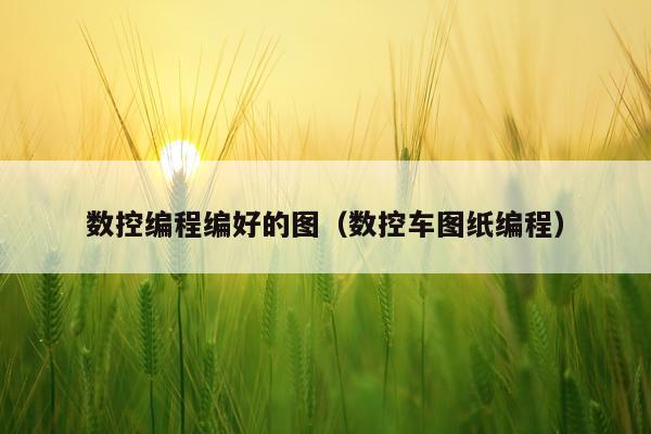数控编程编好的图(数控车图纸编程)