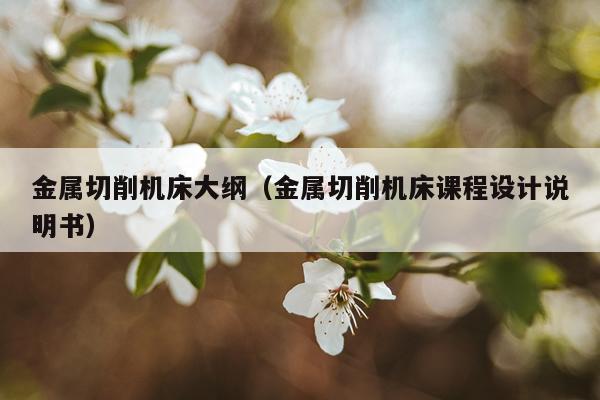 金属切削机床大纲（金属切削机床课程设计说明书）