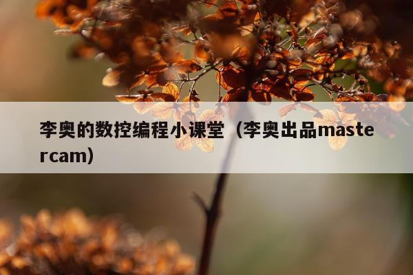 李奥的数控编程小课堂(李奥出品mastercam)