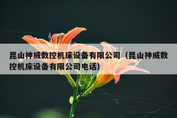 昆山神威数控机床设备有限公司（昆山神威数控机床设备有限公司电话）