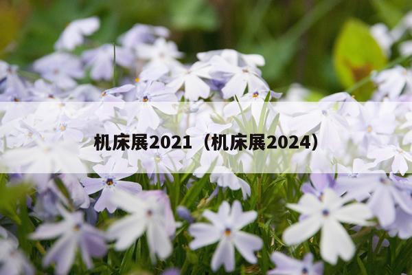 机床展2021（机床展2024）