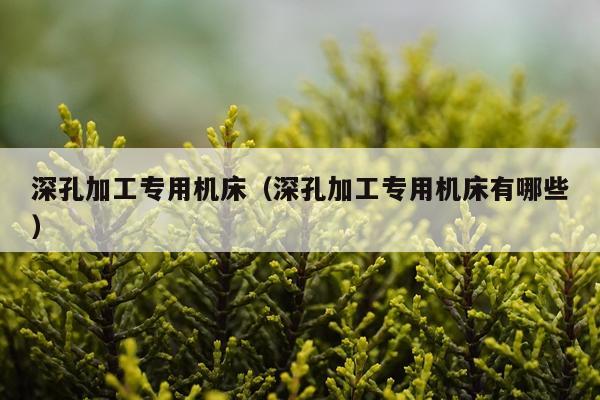 深孔加工专用机床（深孔加工专用机床有哪些）