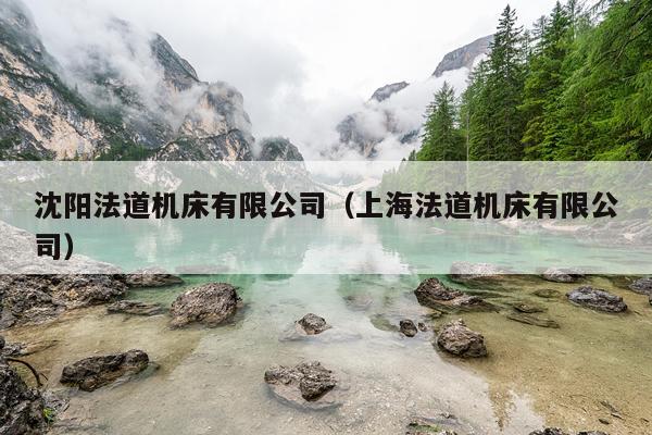 沈阳法道机床有限公司（上海法道机床有限公司）