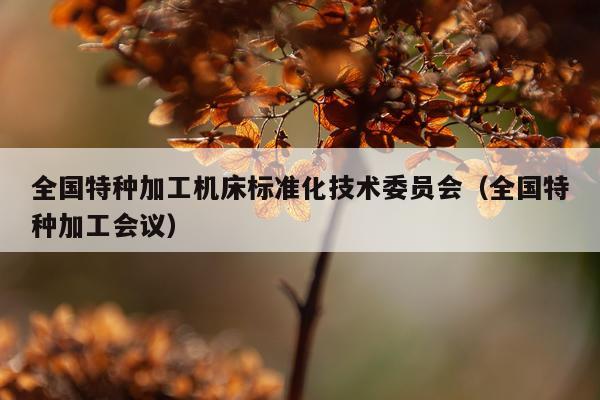 全国特种加工机床标准化技术委员会（全国特种加工会议）