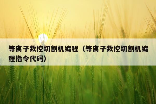 等离子数控切割机编程（等离子数控切割机编程指令代码）