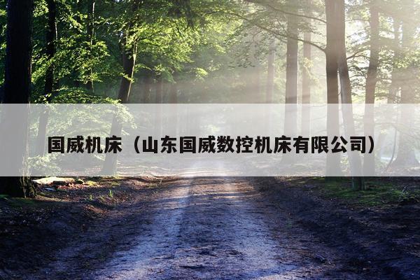国威机床（山东国威数控机床有限公司）