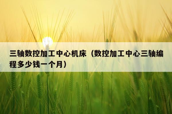 三轴数控加工中心机床（数控加工中心三轴编程多少钱一个月）