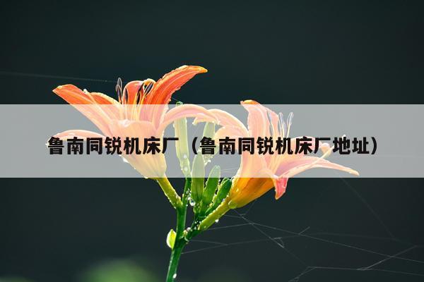 鲁南同锐机床厂（鲁南同锐机床厂地址）