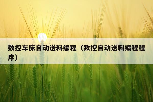 数控车床自动送料编程(数控自动送料编程程序)