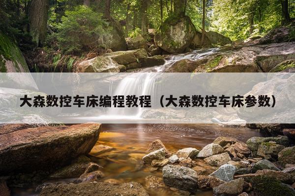 大森数控车床编程教程(大森数控车床参数)