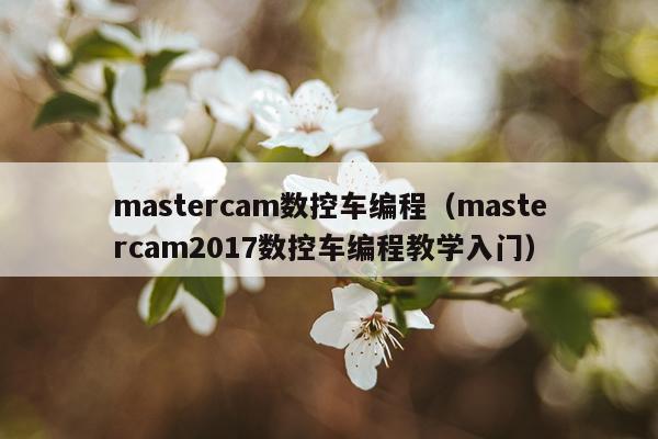 mastercam数控车编程(mastercam2017数控车编程教学入门)