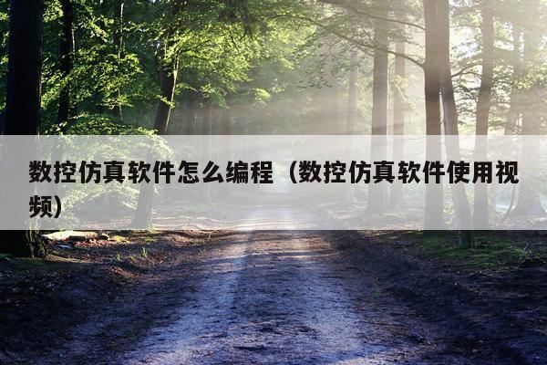 数控仿真软件怎么编程（数控仿真软件使用视频）