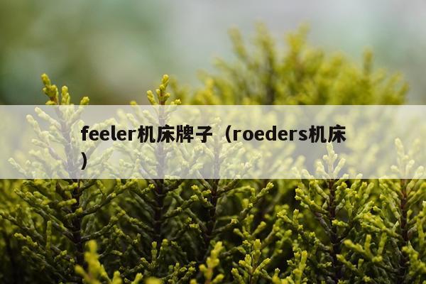 feeler机床牌子（roeders机床）