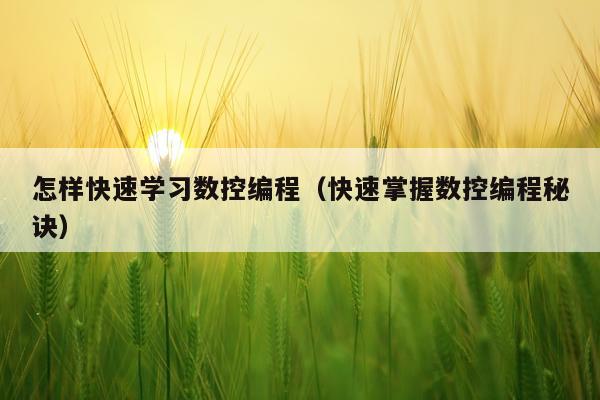 怎样快速学习数控编程（快速掌握数控编程秘诀）