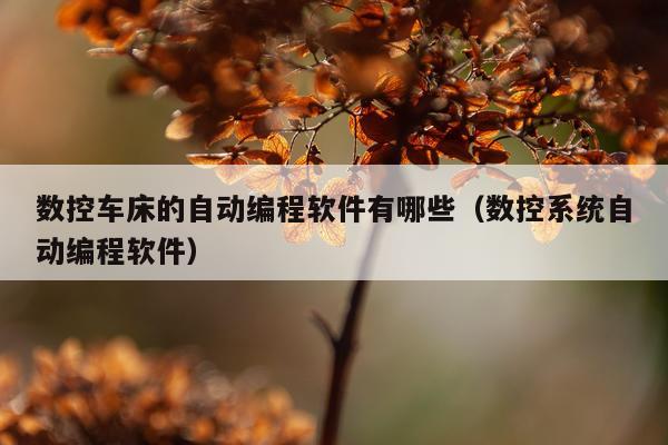 数控车床的自动编程软件有哪些（数控系统自动编程软件）