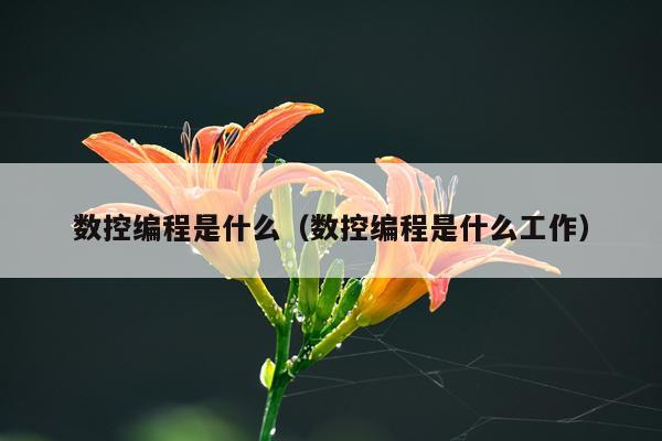 数控编程是什么（数控编程是什么工作）