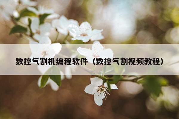 数控气割机编程软件（数控气割视频教程）