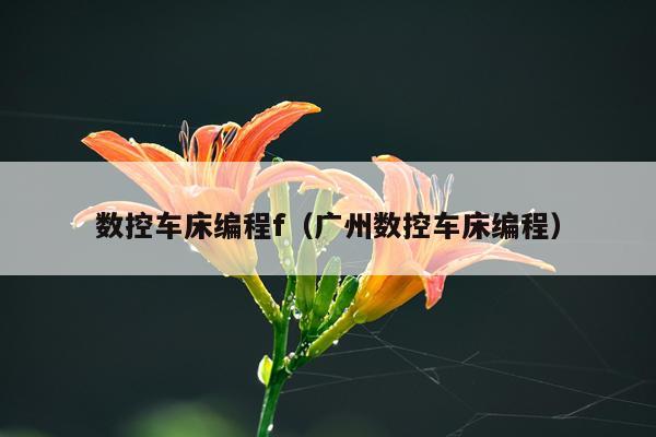数控车床编程f（广州数控车床编程）