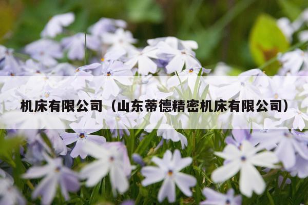 机床有限公司（山东蒂德精密机床有限公司）