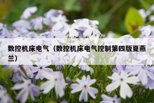 数控机床电气（数控机床电气控制第四版夏燕兰）