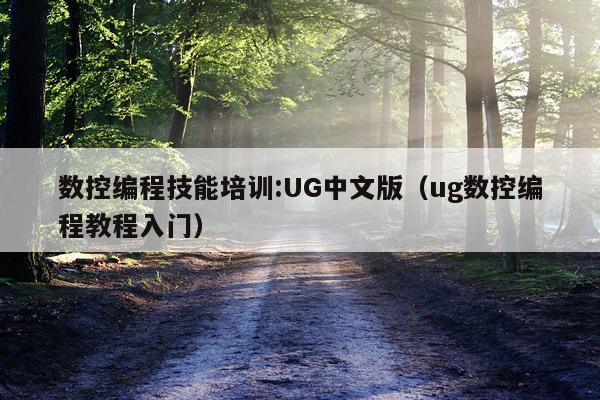 数控编程技能培训:UG中文版（ug数控编程教程入门）