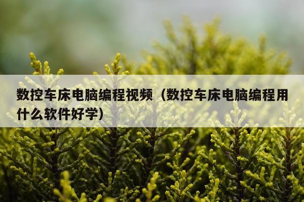 数控车床电脑编程视频（数控车床电脑编程用什么软件好学）