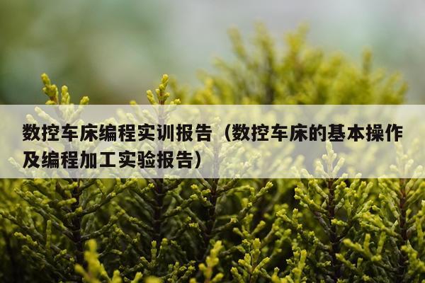 数控车床编程实训报告（数控车床的基本操作及编程加工实验报告）