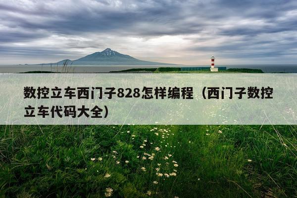 数控立车西门子828怎样编程（西门子数控立车代码大全）