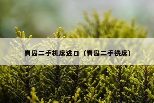 青岛二手机床进口（青岛二手铣床）