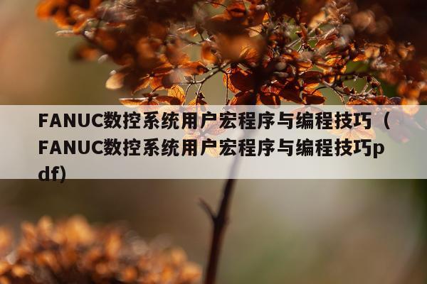 FANUC数控系统用户宏程序与编程技巧（FANUC数控系统用户宏程序与编程技巧pdf）