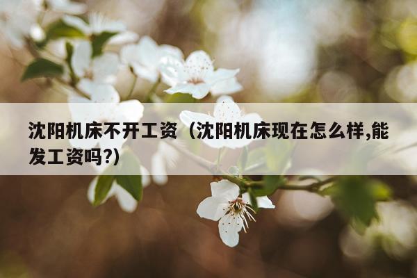 沈阳机床不开工资（沈阳机床现在怎么样,能发工资吗?）