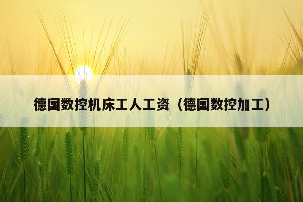 德国数控机床工人工资（德国数控加工）
