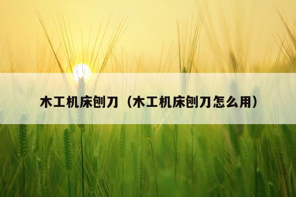 木工机床刨刀（木工机床刨刀怎么用）