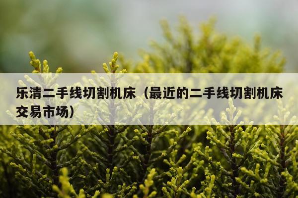 乐清二手线切割机床（最近的二手线切割机床交易市场）