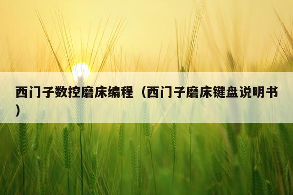 西门子数控磨床编程（西门子磨床键盘说明书）