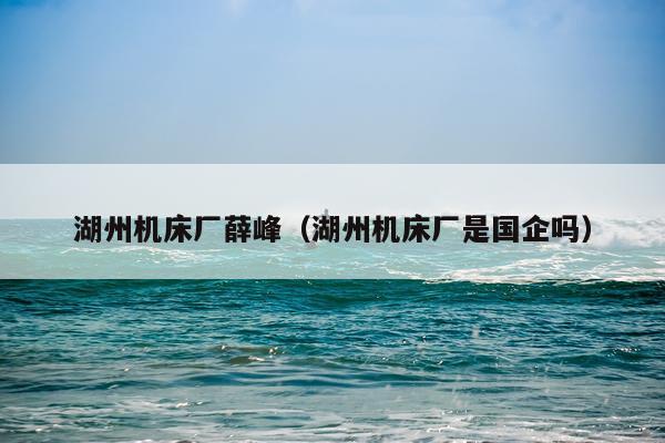 湖州机床厂薛峰（湖州机床厂是国企吗）