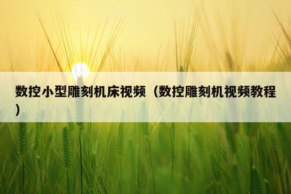 数控小型雕刻机床视频（数控雕刻机视频教程）