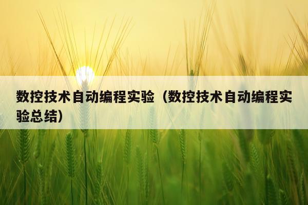数控技术自动编程实验（数控技术自动编程实验总结）