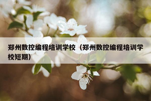 郑州数控编程培训学校（郑州数控编程培训学校短期）